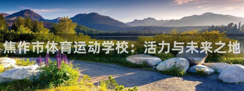 欧亿体育官方正版app娱乐代理怎么样：焦作市体育运动
