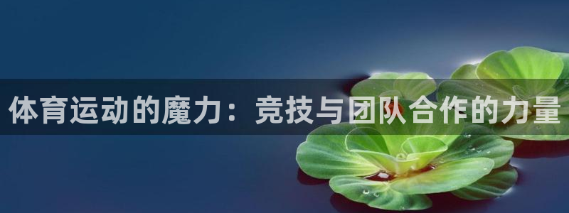 注册欧亿体育官方正版app：体育运动的魔力：竞技与团