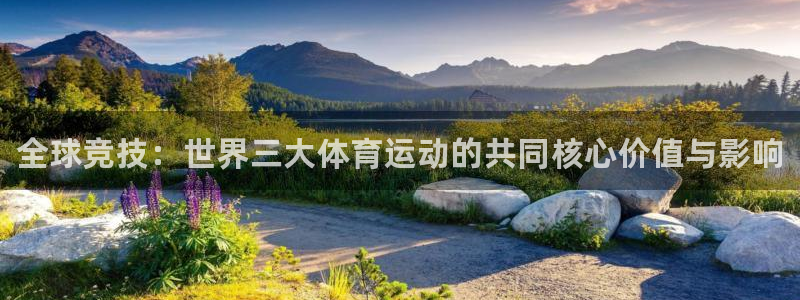 oety欧亿体育官网下载平台假的吗是真的吗吗：全球竞