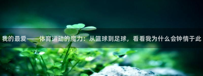 欧亿体育官方正版app官网：我的最爱——体育运动的魔