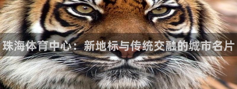 oety欧亿体育官网下载招商电话地址：珠海体育中心：新地标与