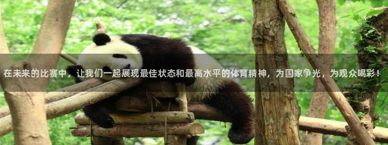 oety欧亿体育官网下载平台注册：在未来的比赛中，让