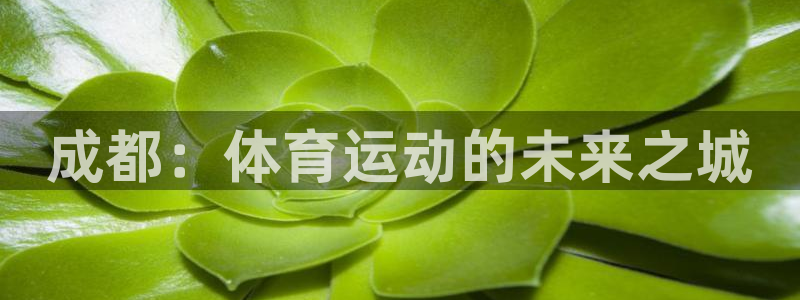欧亿体育官方平台体育：成都：体育运动的未来之城