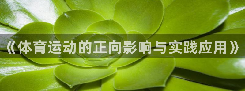 欧亿体育官方正版app五金厂：《体育运动的正向影响与