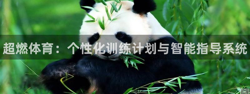 欧亿体育官方正版app官网：超燃体育：个性化训练计划与智能指