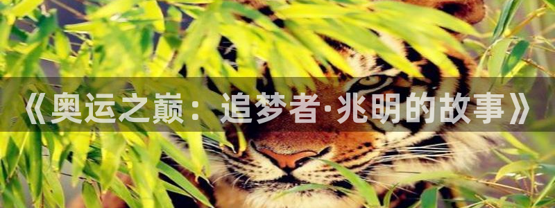 oety欧亿体育官网下载招商电话号码查询是多少：《奥运之巅：