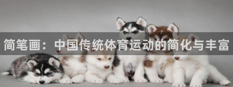 欧亿体育官方正版app集团：简笔画：中国传统体育运动