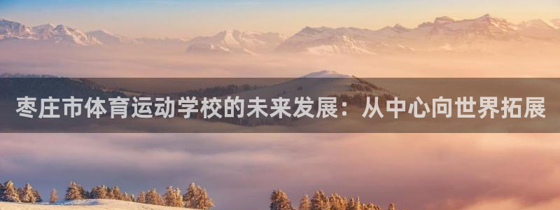 oety欧亿体育官网下载招商电话号码查询：枣庄市体育运动学校