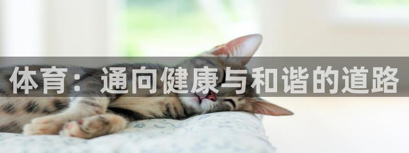 oety欧亿体育官网下载平台注册流程视频：体育：通向