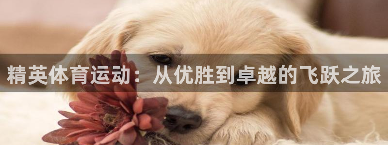 oety欧亿体育官网下载招商电话号码查询