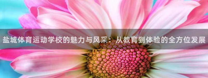 欧亿体育官方正版app集团官网网址