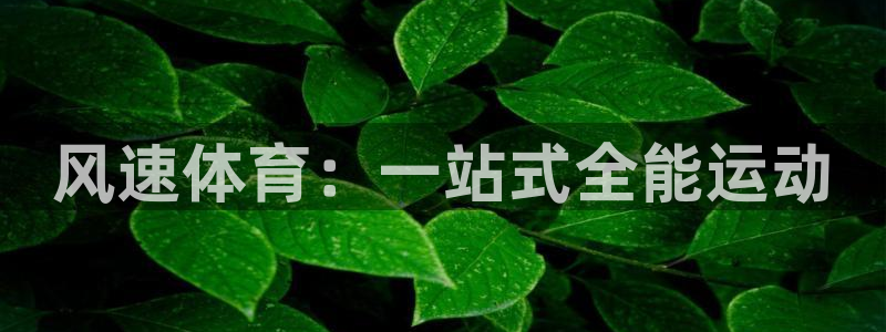欧亿体育官方正版app娱乐首页网站大全：风速体育：一