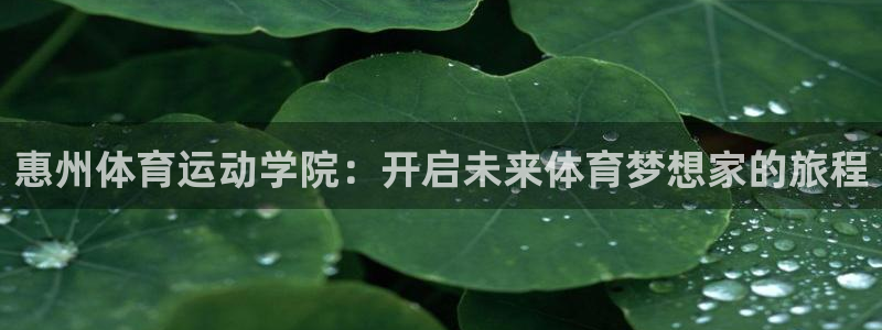 欧亿体育官方正版app集团官网网址：惠州体育运动学院
