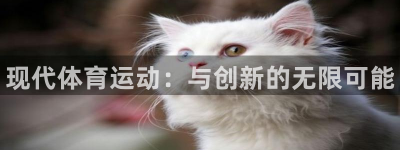 oety欧亿体育官网下载招商电话是多少：现代体育运动