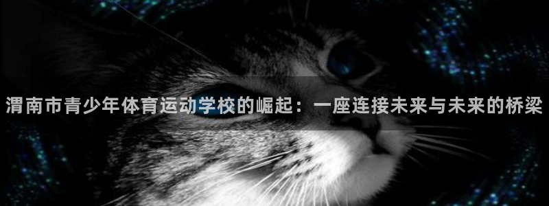 oety欧亿体育官网下载软件