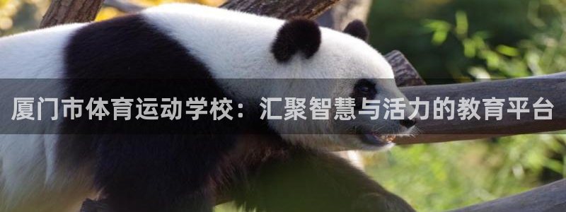 注册欧亿体育官方正版app：厦门市体育运动学校：汇聚智慧与活