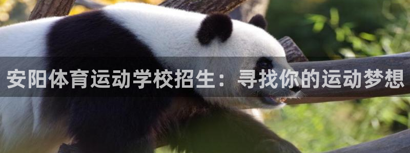 oety欧亿体育官网下载联系电话