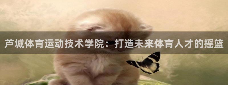 oety欧亿体育官网下载平台注册流程图：芦城体育运动技术学院