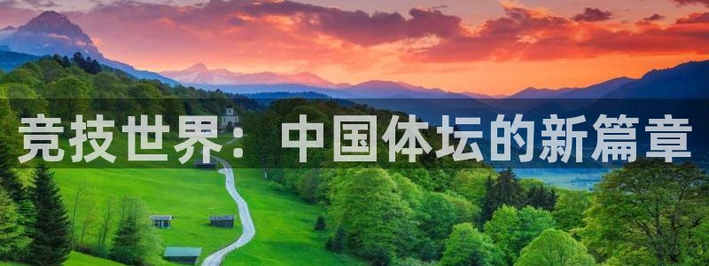 德国欧亿体育官方正版app集团：竞技世界：中国体坛的新篇章