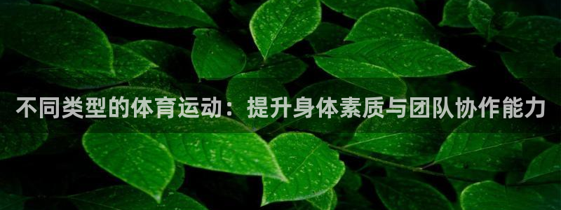 oety欧亿体育官网下载软件：不同类型的体育运动：提升身体素